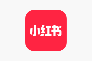 小红书视频去水印